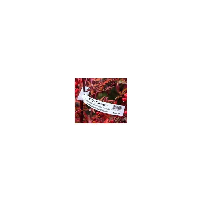 Tags for Plants Plastic Loop Lock 200mm (W) X...