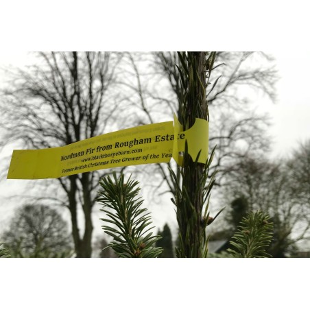 Tags for Plants Plastic Loop Lock 200mm (W) X 17mm (H)