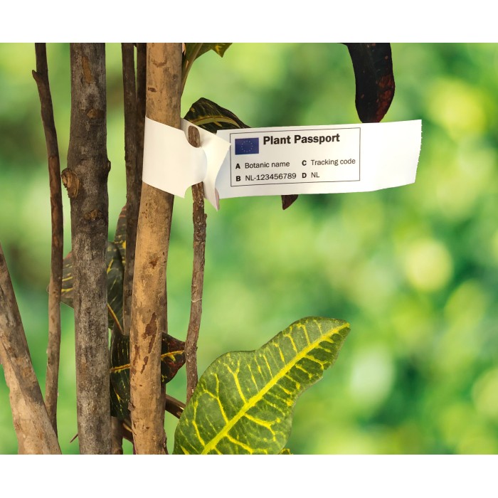 Tags for Plants Plastic Loop Lock 200mm (W) X...