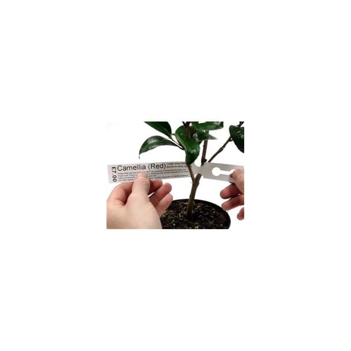 Tags for Plants Plastic Loop Lock 200mm (W) X...