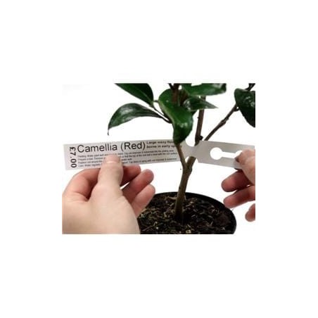 Tags for Plants Plastic Loop Lock 200mm (W) X 25mm (H)