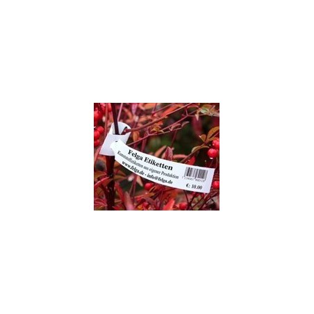 Tags for Plants Plastic Loop Lock 200mm (W) X 25mm (H)