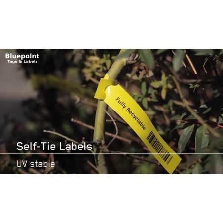 Tags for Plants Plastic Loop Lock 200mm (W) X 25mm (H)