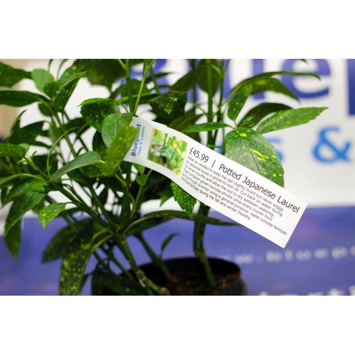 Tags for Plants Plastic Loop Lock 200mm (W) X...