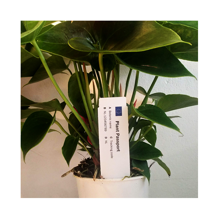 Tags for Plants Plastic Stick-In 100mm (W) X...